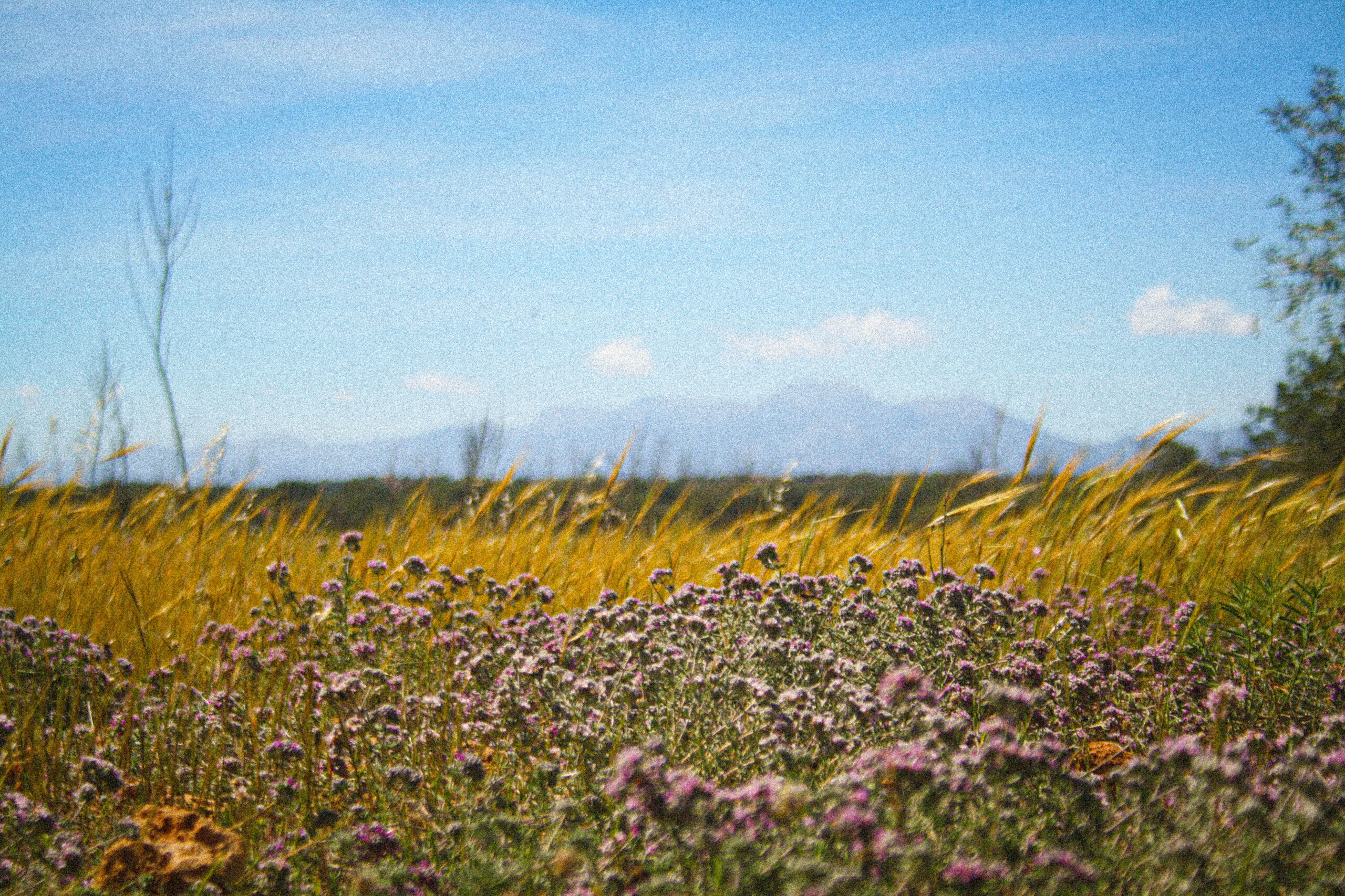 Mallorca pt. 1: Off the beaten track